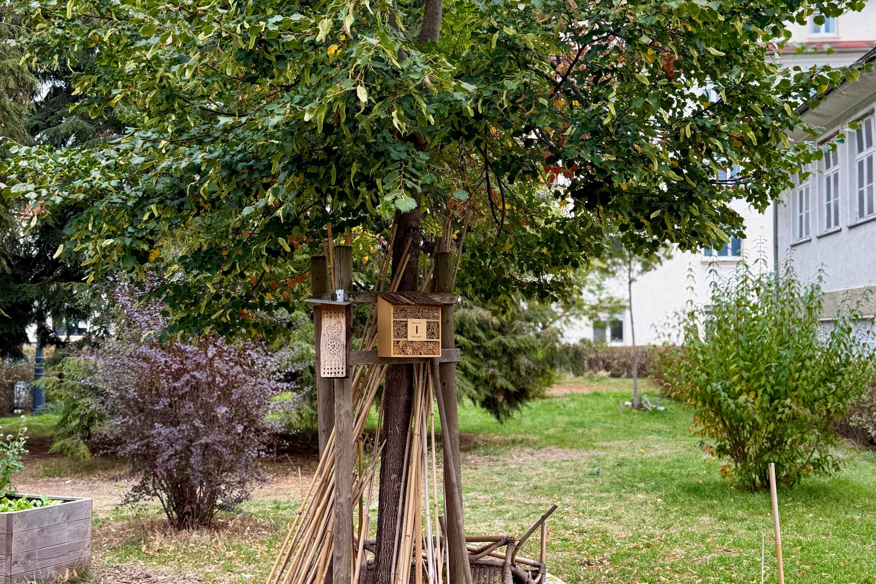 Urban Gardening Gotessauer Block Der Baumkümmerer