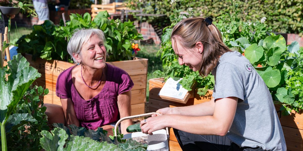 Urban Gardening mit Refarm